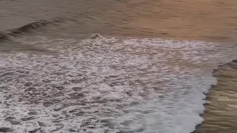 Vizag forever and Foodie For Ever