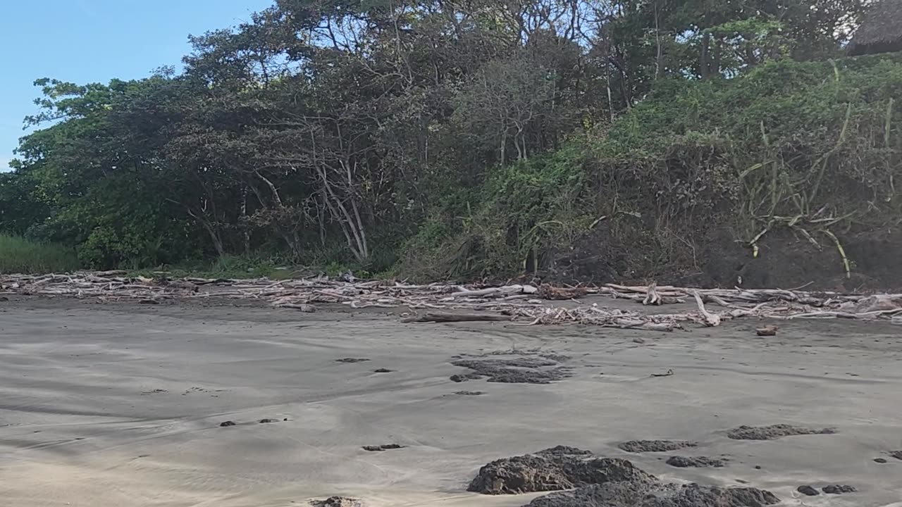 1/16/25. The peacefulness of the secluded beach
