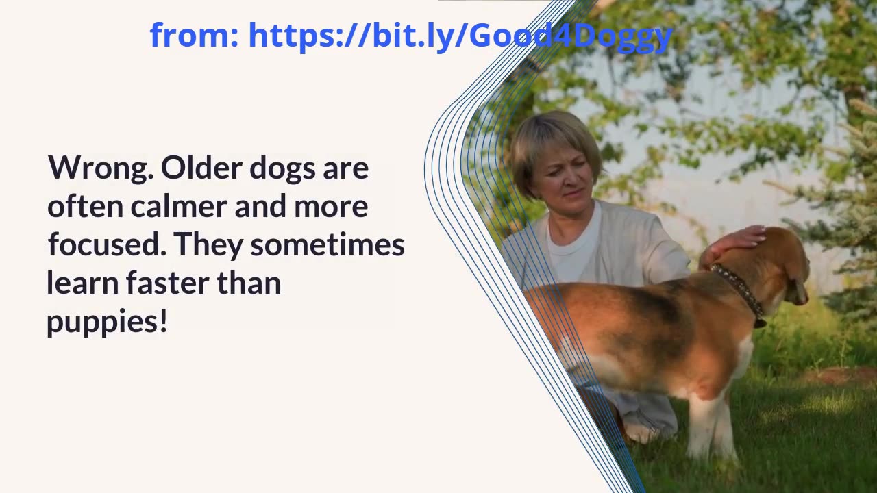 Crazy Pet Myths You Need to Stop Believing (You’ve Been Lied To!)