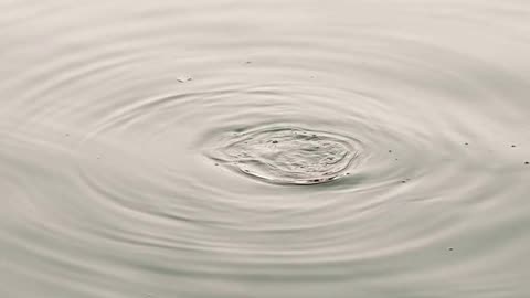 Daily Horoscope | Aquarius 🌟