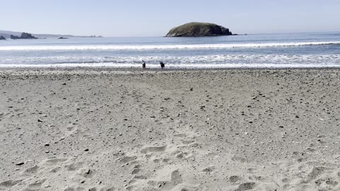 fun at the beach 2908432098432098
