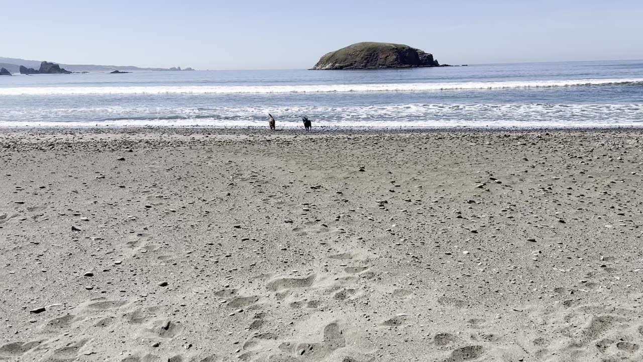 fun at the beach 2908432098432098