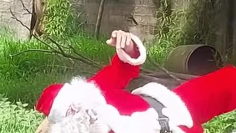 Papá Noel está complicado