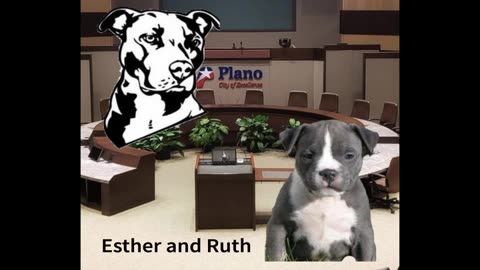 DART Update and Former City Councilman's Performance Moved Us to Tears