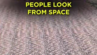 Overpopulation?