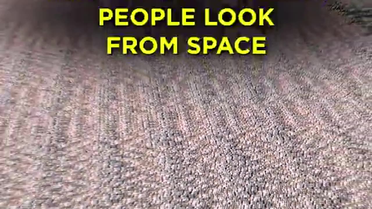 Overpopulation?