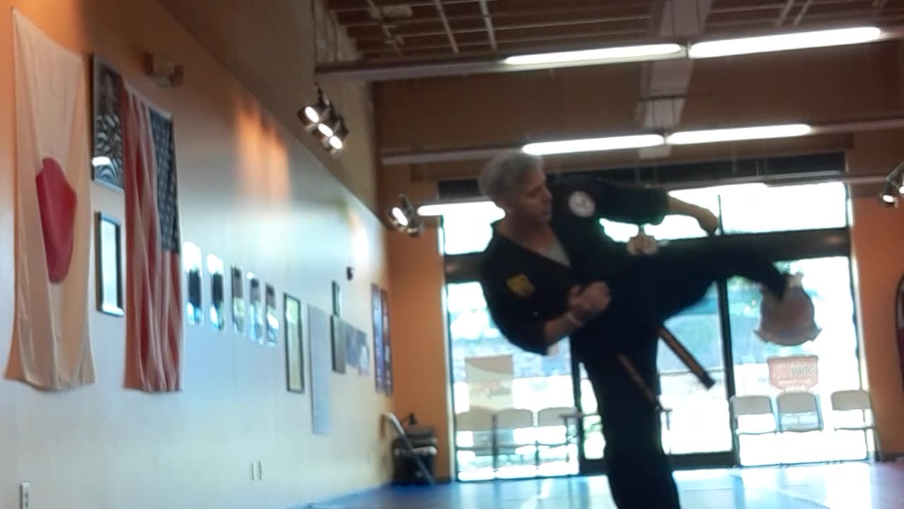 Tong Hap Kwan Hoshinsul Kicking Drill