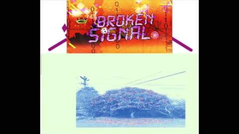 Broken Signal X Contrarian