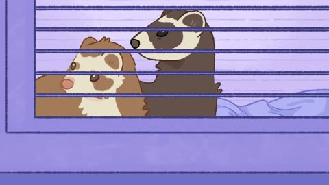 Ferrets are (a little too) Smart