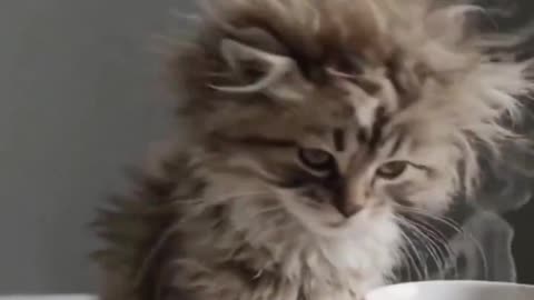 Not A Morning Person