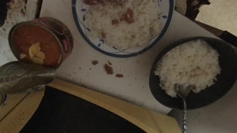 Kotě Žužu a Montík - Podává se večeře (málem i s kamerou. Derp.) {CZ}