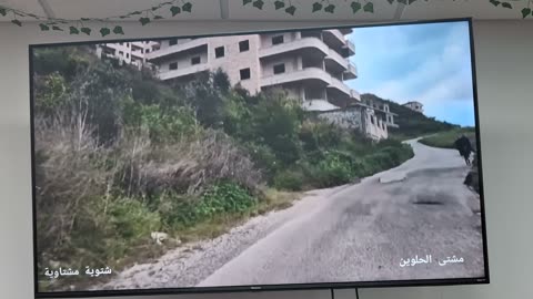 Somewhere in Syria🇸🇾