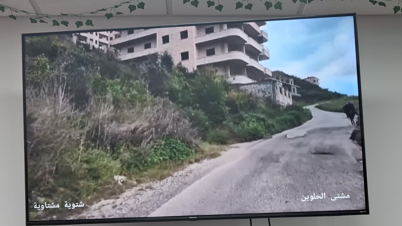 Somewhere in Syria🇸🇾