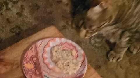 All eating