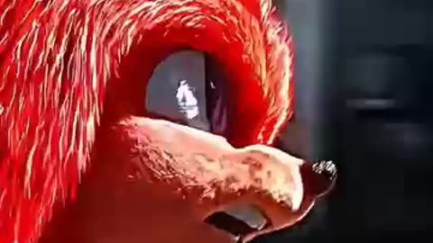 Sonic And his time