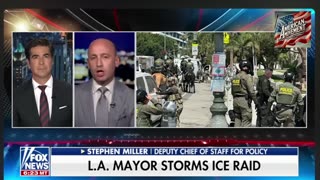 Steven Miller Trump advisor explains why the Democrat party wants immigration