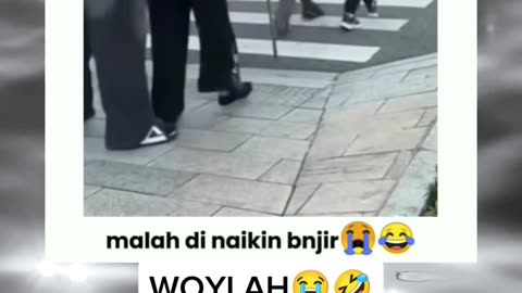 FUNNY MEMES VIDEOS