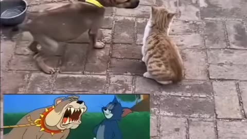😏😏🤣😁
