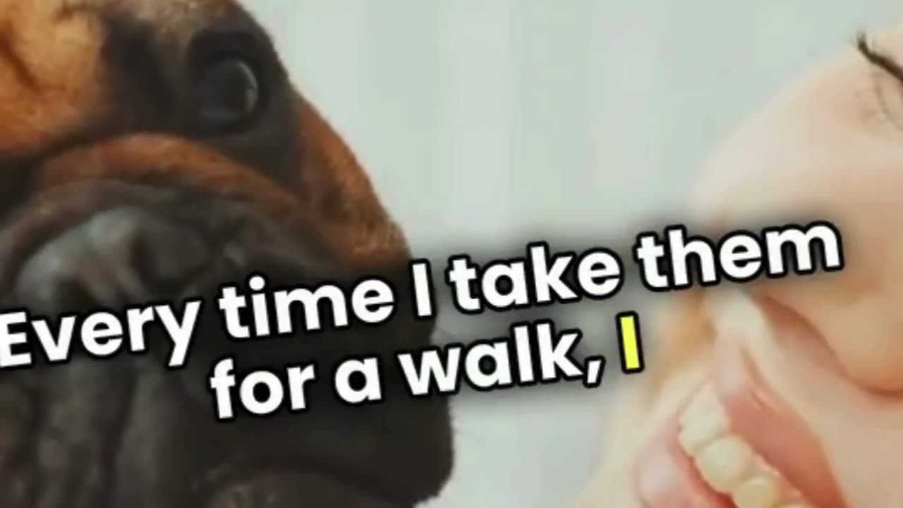 Paws of Faith: Dogs Prove ‘I Can Do All Things in Christ!’