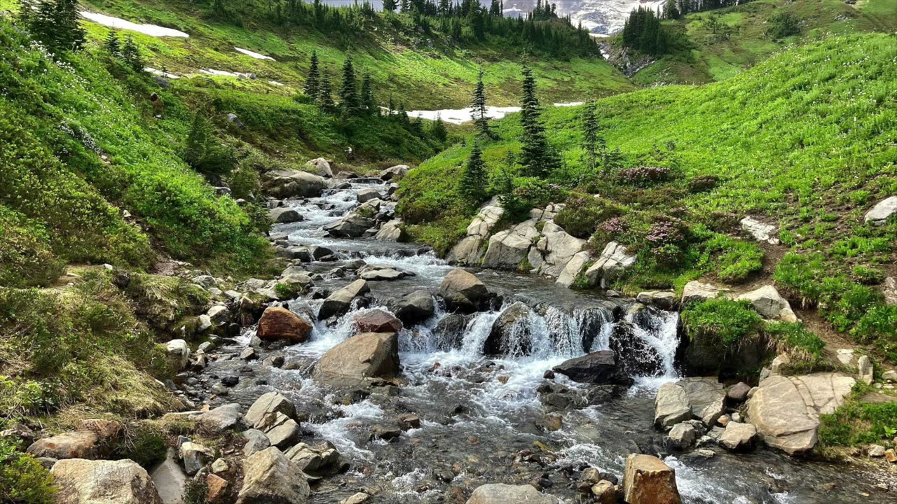 Christianity has become what God never intended it to be – Sermon Audio 8/3/25