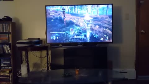 WATCH ME WATCH A VIDEO GAME