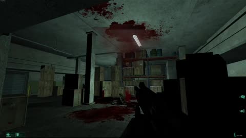 F.E.A.R Fun momment