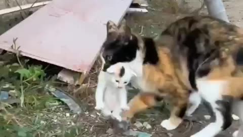 Mother, like a god on earth