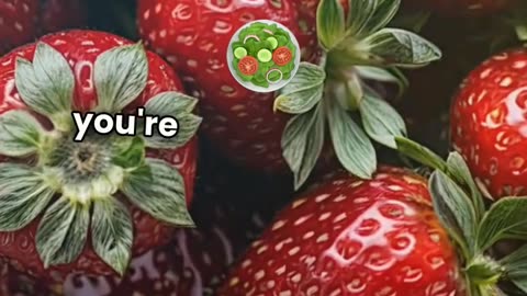 Berry Busted: The Mind-Blowing Truth About Strawberries (They're Imposters!)