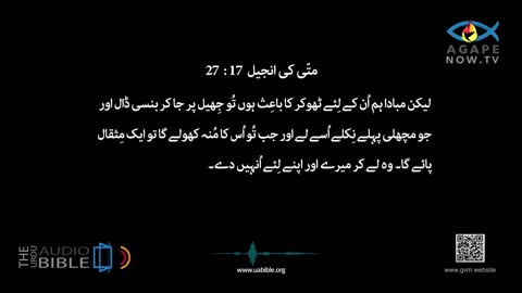 Matthew Chapter 17 Gospel of Matthew | matti ki anjeel Urdu Bible | متی کی انجیل