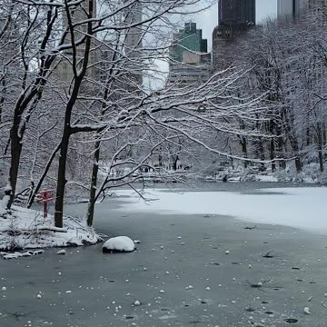 New York Christmas Holiday Winter Season