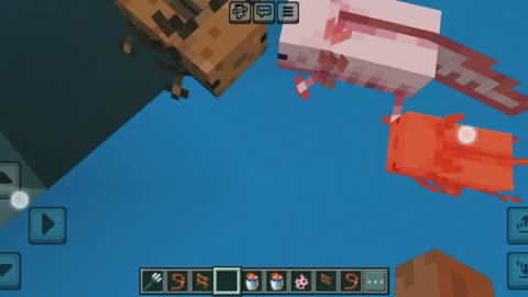 How to breed awoloti in Minecraft