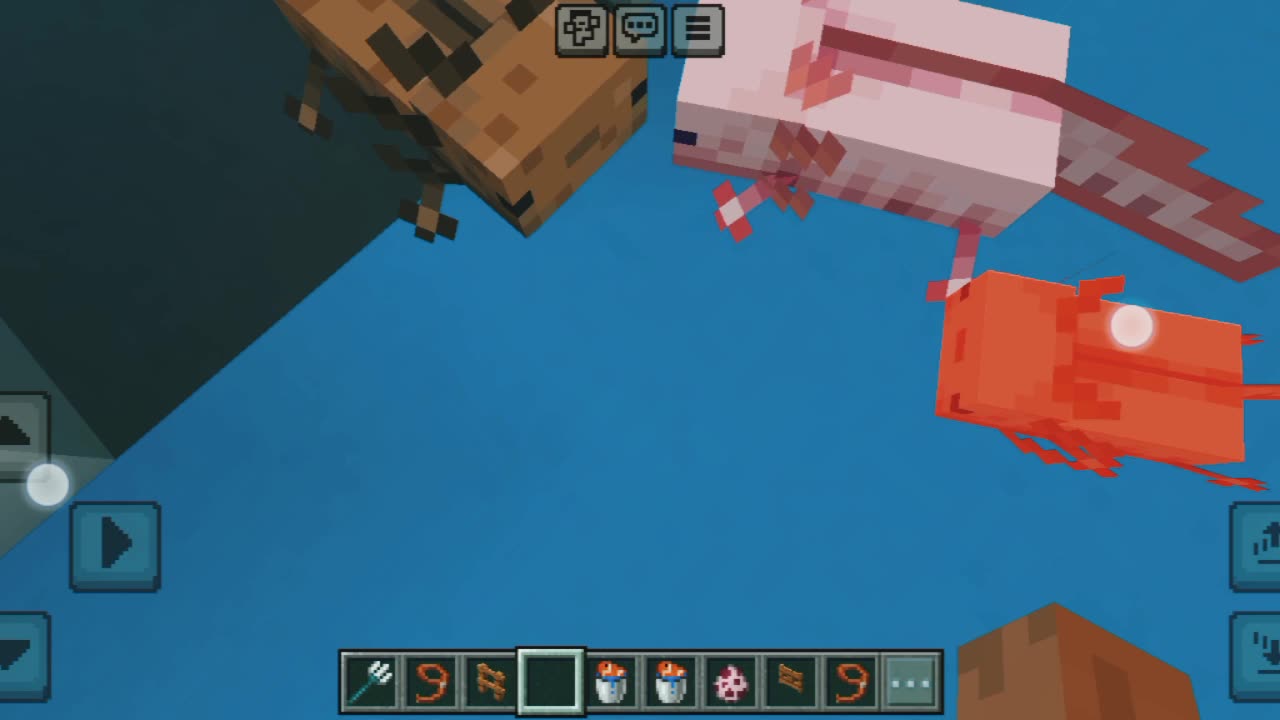 How to breed awoloti in Minecraft