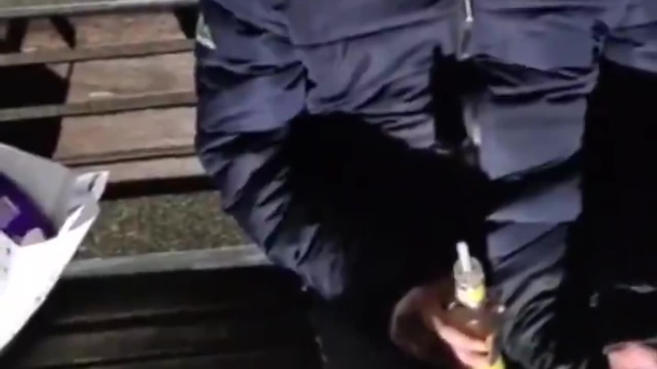 🇬🇧 UK: Leicester-Muhammad Javeed, 44, attempted to rape a 13-year-old British
