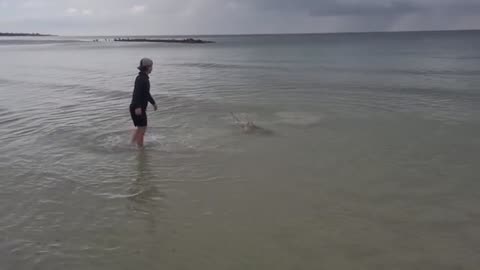 a pesca ho imparato come pescare grossi squali, fishing shark, maessere in compagnia_part27