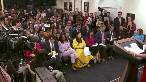 Karoline Leavitt Stops Reporter In Her Tracks With Epic Response
