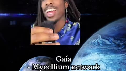 Gaia Mycelium Network Metaphysical World (Astral)
