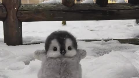 💕