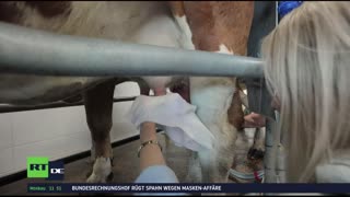 RT DE Live-TV