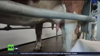 RT DE Live-TV