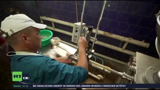 RT DE Live-TV