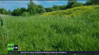 RT DE Live-TV