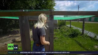 RT DE Live-TV