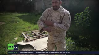 RT DE Live-TV