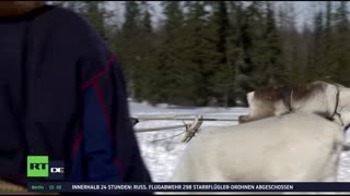 RT DE Live-TV