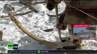 RT DE Live-TV