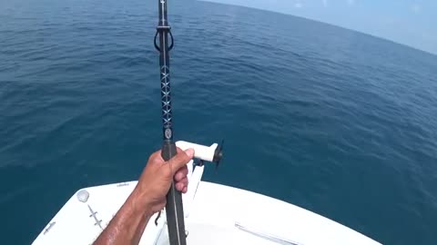 pesca a pesci grossi o big fish, parte 2, hammer shark o grande squalo martello_part9