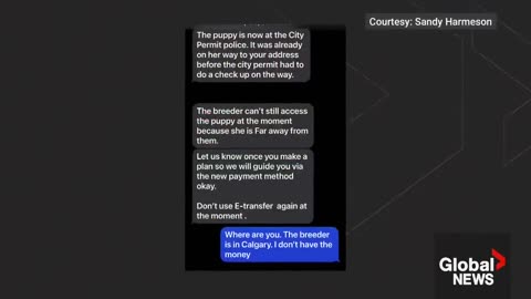 Alberta woman loses thousands in alleged puppy scam