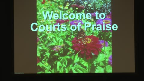 Courts Of Praise