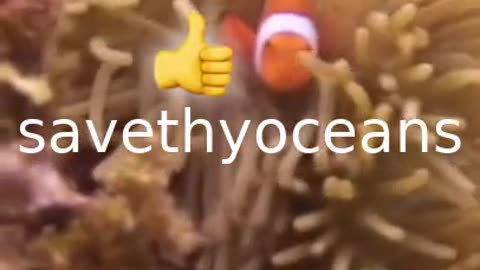 Symbiosis
