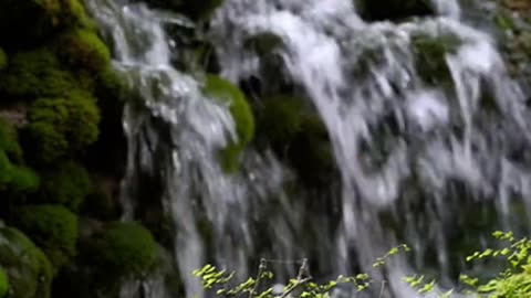 Daily Horoscope | Aquarius 🌟